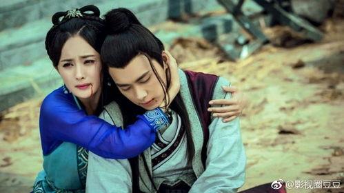 天涯爆料老紫薇视频大全,老紫薇视频大全背后的真相与争议