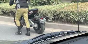 春风新款爆料视频,惊艳亮相，引领时尚潮流